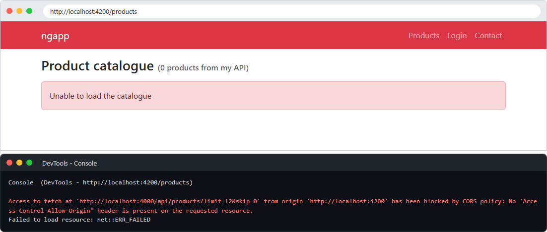 CORS error in the browser console