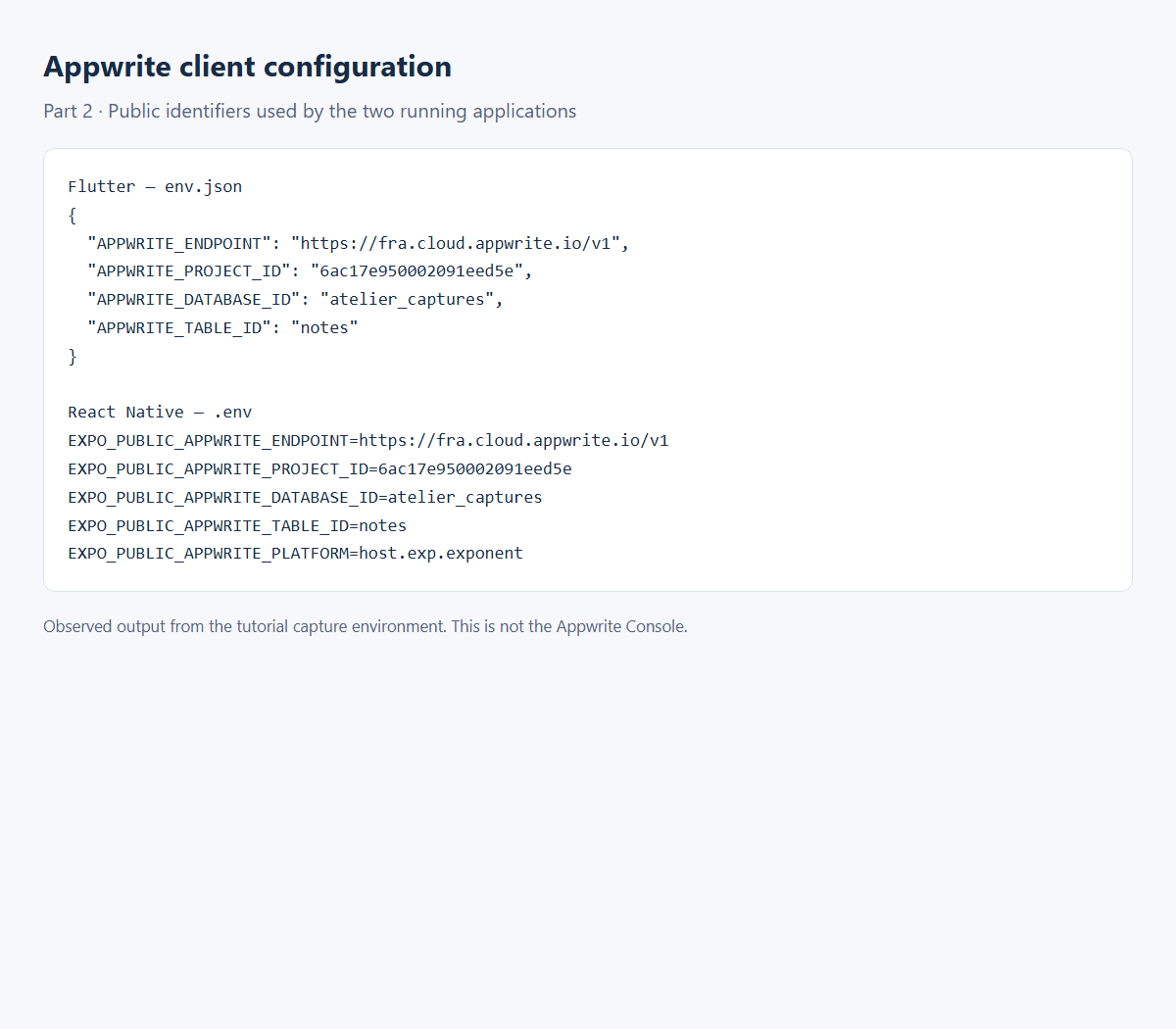 Public configuration used by the running applications.
